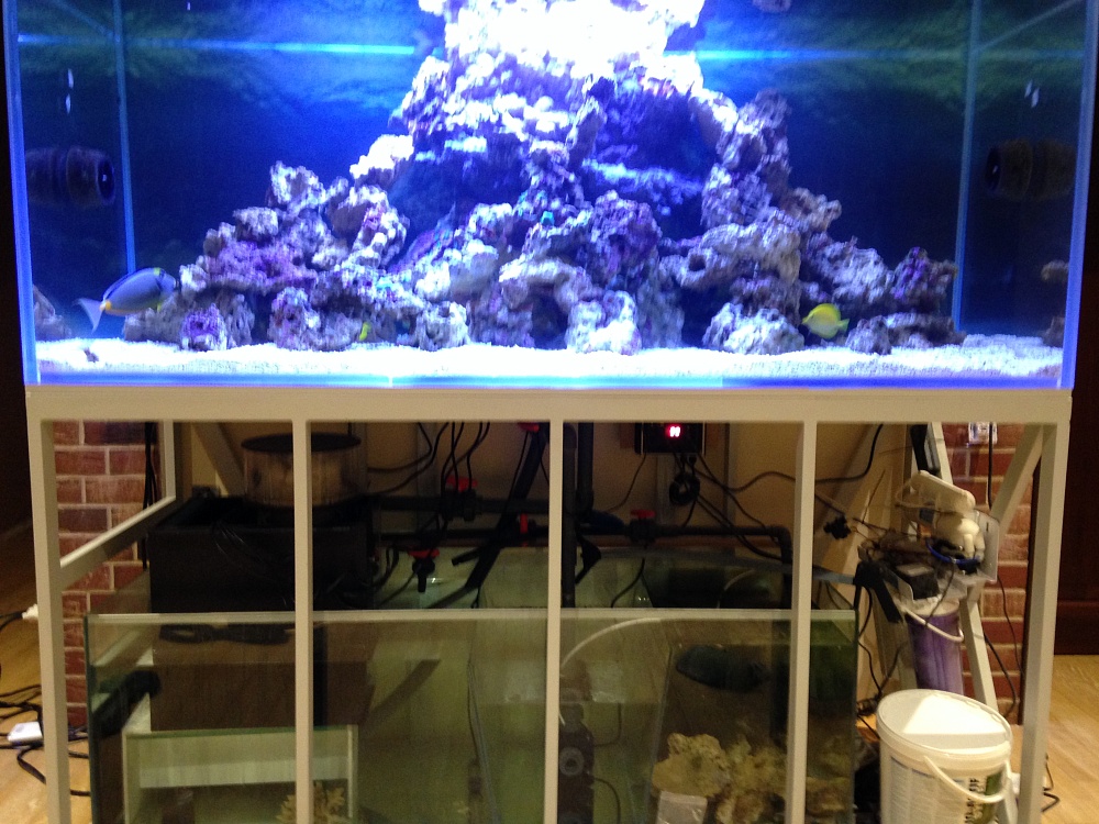 Морской аквариум на заказ