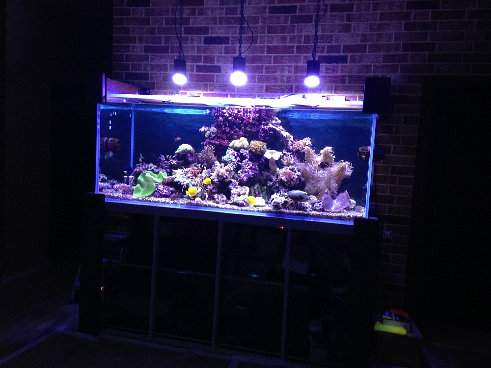 Морской аквариум на заказ